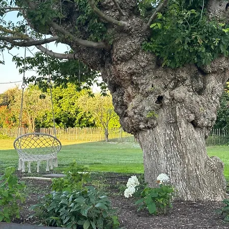 Gogh Bouchet (Drome)